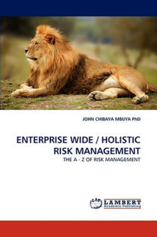 Cover of Enterprise Wide / Holistic Risk Management