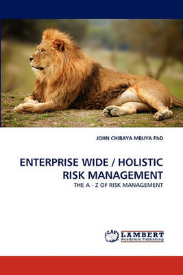 Book cover for Enterprise Wide / Holistic Risk Management