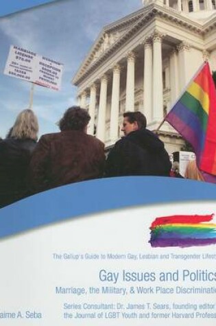 Cover of Gay Issues and Politics