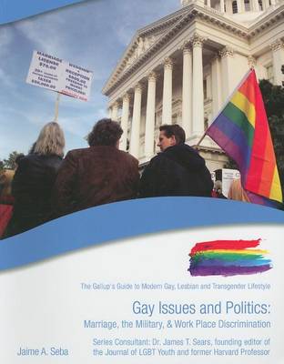 Book cover for Gay Issues and Politics