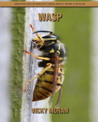 Book cover for Wasp