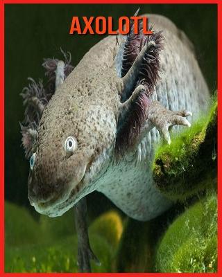 Book cover for Axolotl