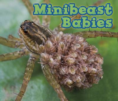 Book cover for Minibeast Babies