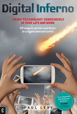 Book cover for Digital Inferno