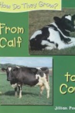 Cover of From Calf to Cow
