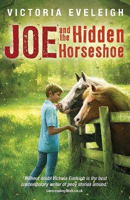 Book cover for Joe and the Hidden Horseshoe