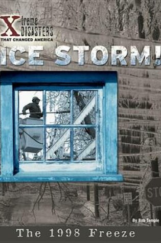Cover of Ice Storm!