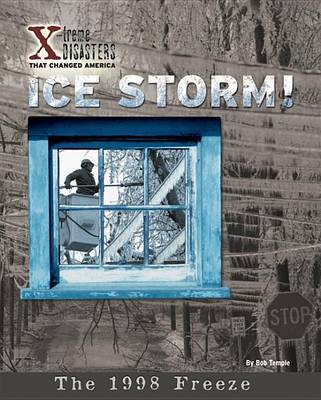 Book cover for Ice Storm!