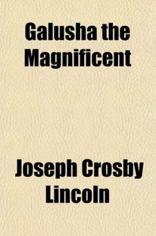 Cover of Galusha the Magnificent; A Novel