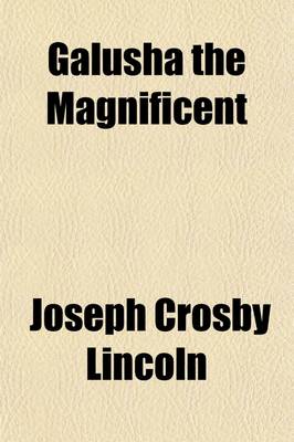 Book cover for Galusha the Magnificent; A Novel