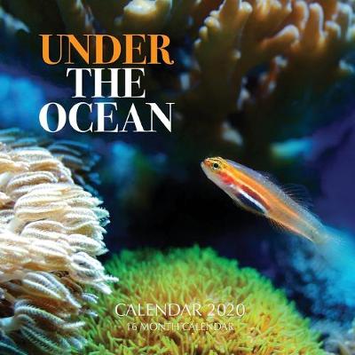 Book cover for Under the Ocean Calendar 2020