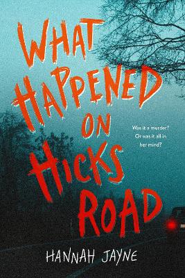 Book cover for What Happened on Hicks Road