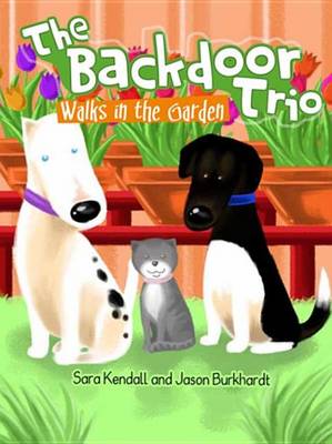 Book cover for He Backdoor Trio