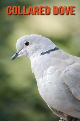 Cover of Collared Dove