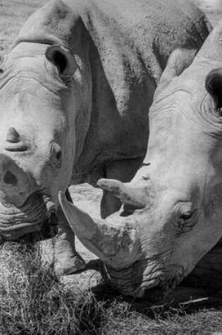 Cover of Rhinoceros White Rhino Pair Black and White Journal