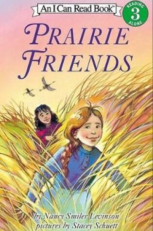 Cover of Prairie Friends