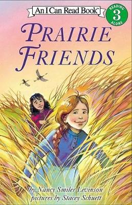 Cover of Prairie Friends