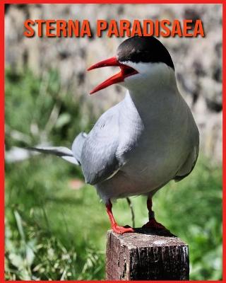 Book cover for Sterna Paradisaea