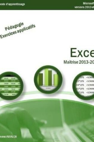 Cover of Excel Maîtrise 2013 - 2016