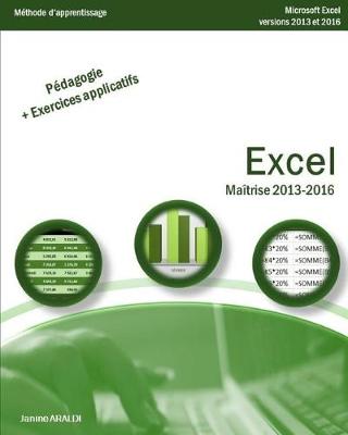 Book cover for Excel Maîtrise 2013 - 2016