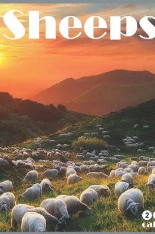 Cover of Sheeps 2021 Calendar