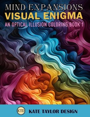 Book cover for Visual Enigma