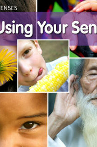 Cover of Using Your Senses