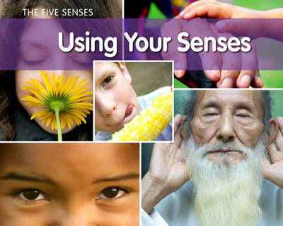 Cover of Using Your Senses