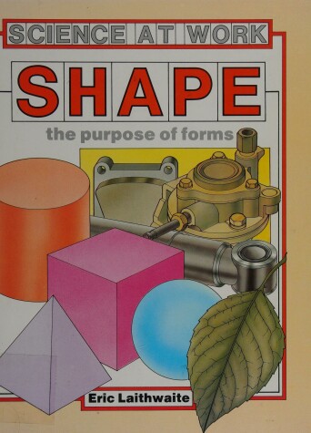 Book cover for Shape is Important