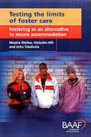 Cover of Testing the Limits of Foster Care