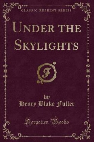 Cover of Under the Skylights (Classic Reprint)