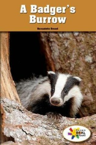 Cover of A Badger's Burrow