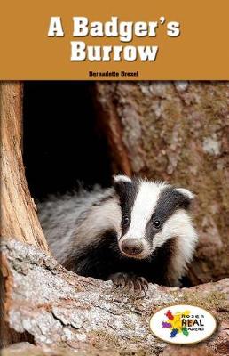 Cover of A Badger's Burrow