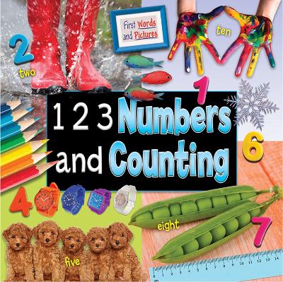 Book cover for 1 2 3 Numbers and Counting