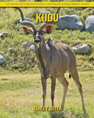 Book cover for kudu