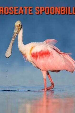 Cover of Roseate Spoonbill