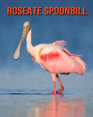 Book cover for Roseate Spoonbill