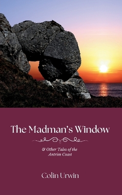 Book cover for The Madman's Window