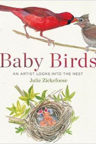 Cover of Baby Birds