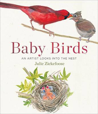 Book cover for Baby Birds