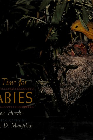 Cover of A Time for Babies