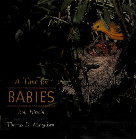 Book cover for A Time for Babies