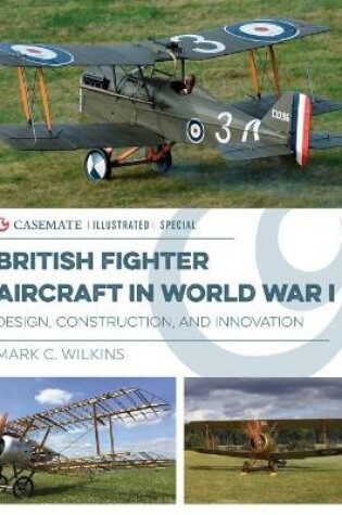 Cover of British Fighter Aircraft in WWI