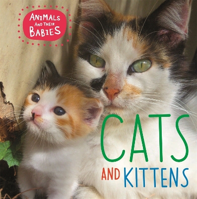 Book cover for Animals and their Babies: Cats & kittens