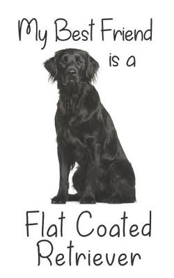 Book cover for My best Friend is a Flat Coated Retriever