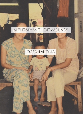 Book cover for Night Sky with Exit Wounds