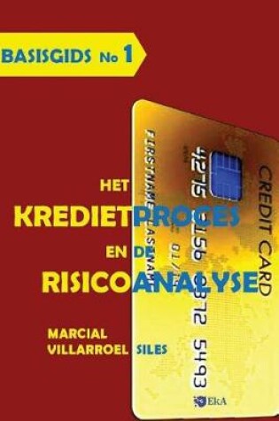 Cover of Basisgids Het Kredietproces En de Risicoanalyse