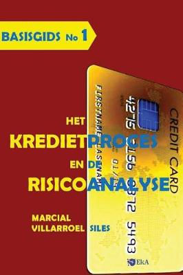 Cover of Basisgids Het Kredietproces En de Risicoanalyse