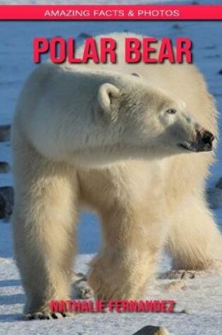 Cover of Polar bear