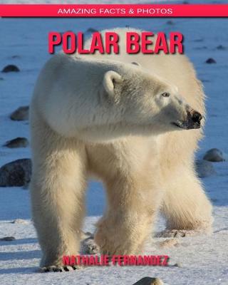 Book cover for Polar bear